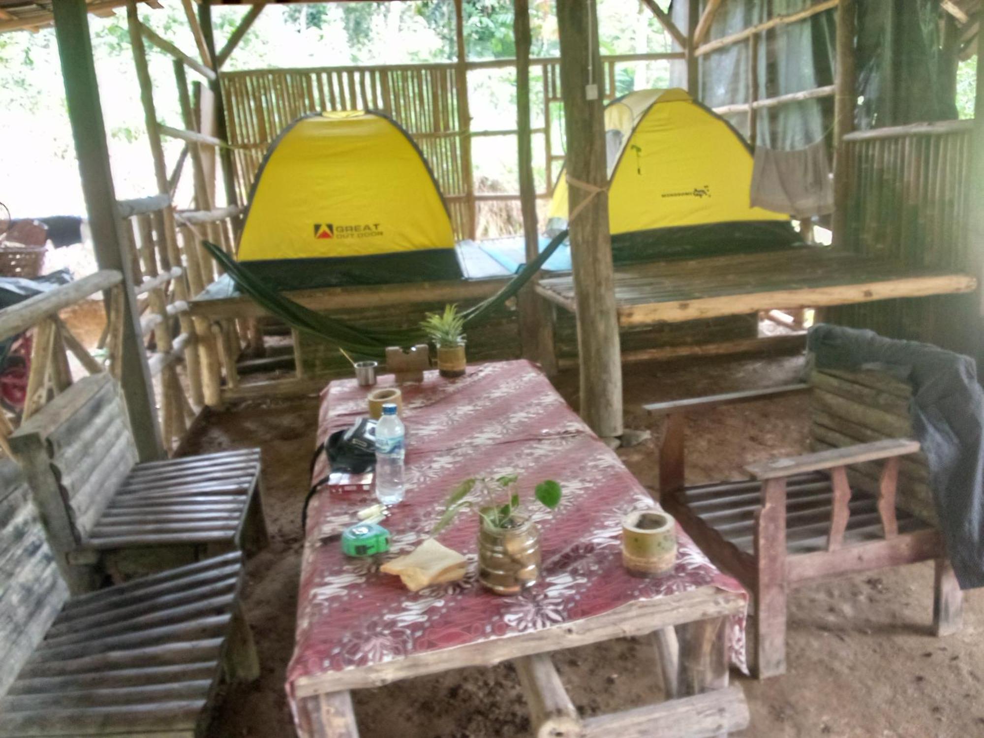 Landak River Guest House Only Trekking With Us ブキットラワン エクステリア 写真