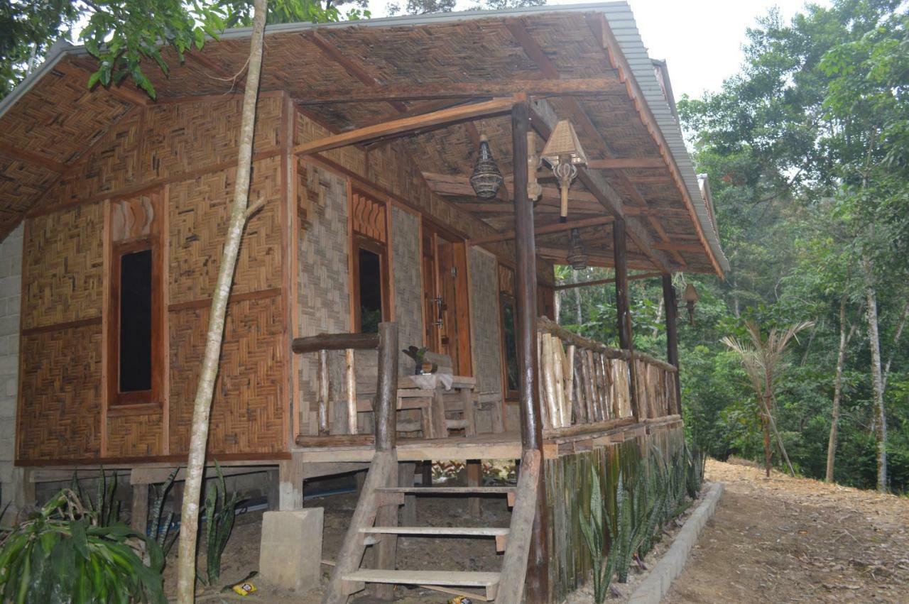 Landak River Guest House Only Trekking With Us ブキットラワン エクステリア 写真