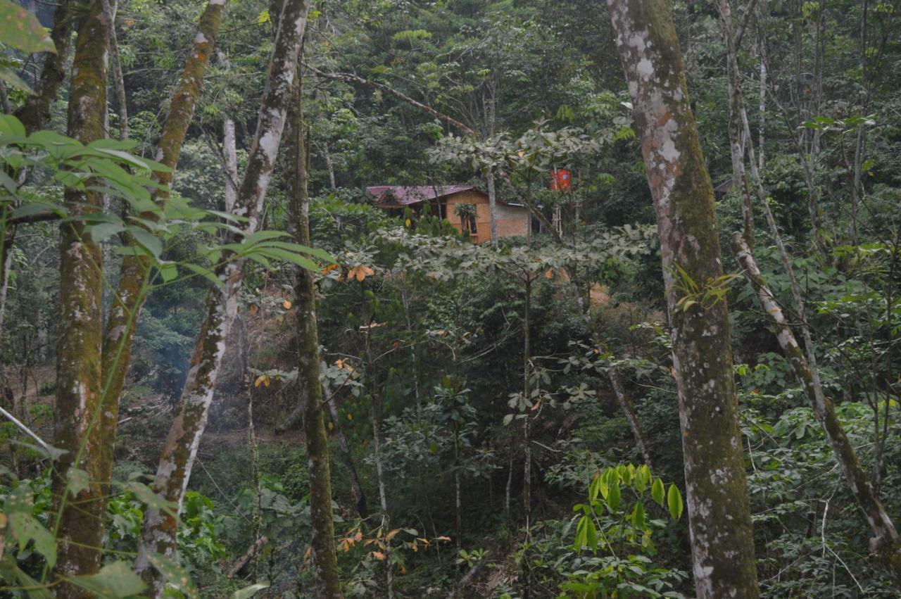 Landak River Guest House Only Trekking With Us ブキットラワン エクステリア 写真