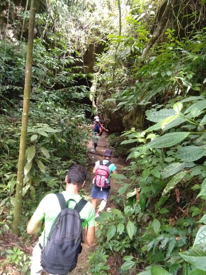 Landak River Guest House Only Trekking With Us ブキットラワン エクステリア 写真