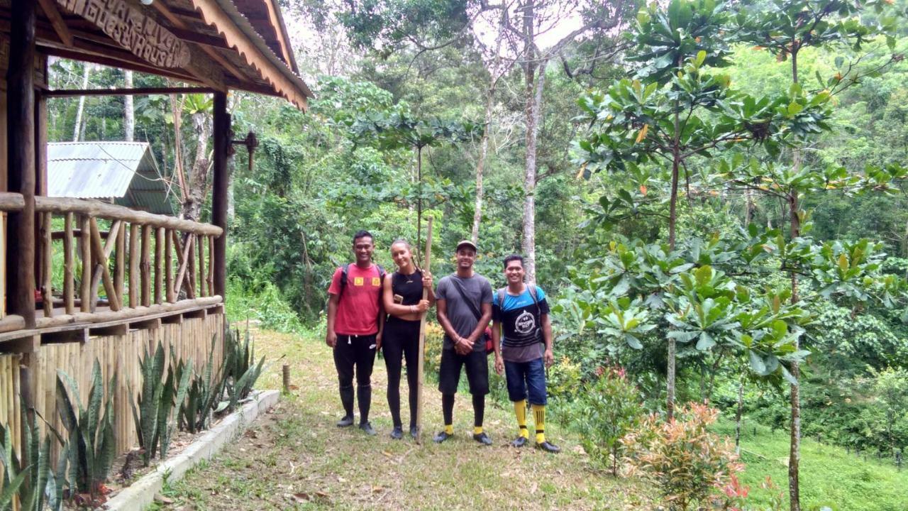 Landak River Guest House Only Trekking With Us ブキットラワン エクステリア 写真