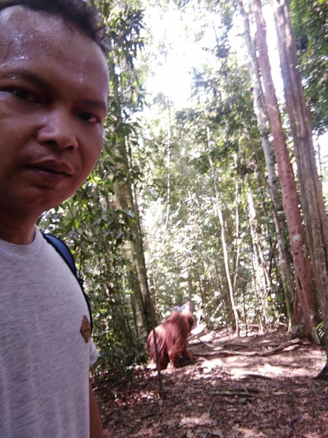 Landak River Guest House Only Trekking With Us ブキットラワン エクステリア 写真